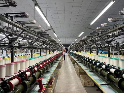 用好 數字化出?？?山東周村絲綢通過阿里國際站出海全球50多國