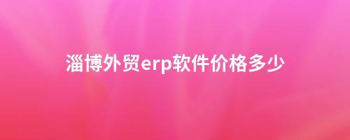 淄博外貿(mào)erp軟件價格多少